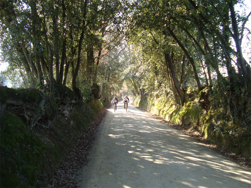 gal/2010/01 - Le escursioni della Ciclistica - by Andrea/DSC02192-01.jpg